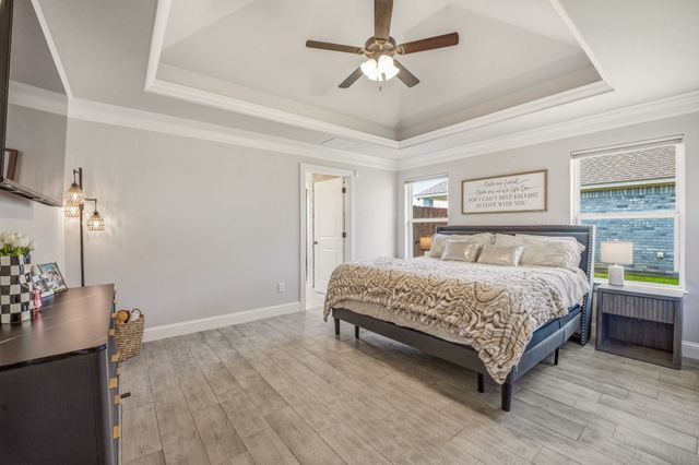 601 Violet Drive, Tolar, TX 76476