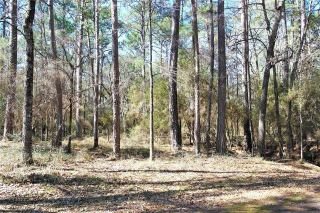 3 Magnolia Court, Trinity, TX 75862