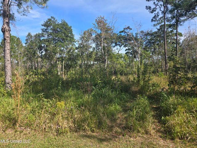 Pinehaven Drive, Ocean Springs, MS 39564