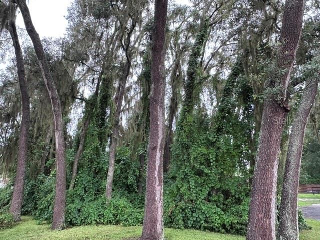 444 QUAIL STREET, Lady Lake, FL 32159