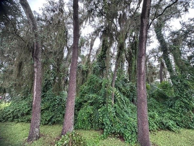 444 QUAIL STREET, Lady Lake, FL 32159