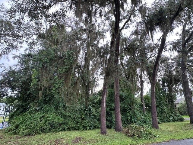 444 QUAIL STREET, Lady Lake, FL 32159