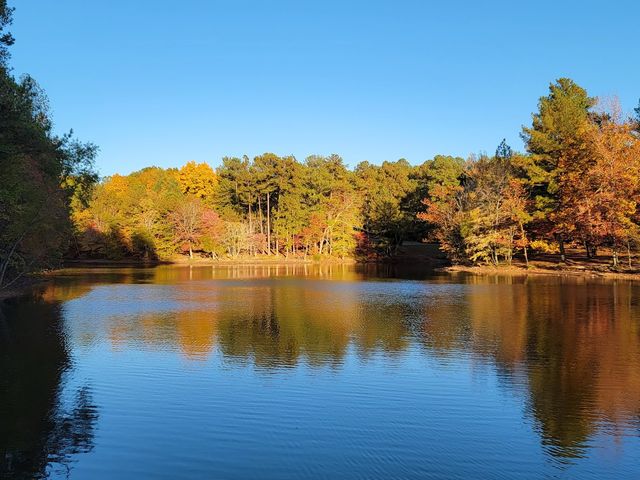 7131 Frances St, Fairview, TN 37062