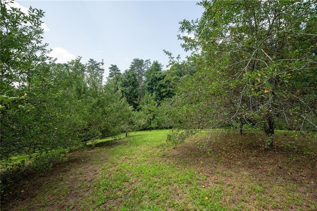 464 Poole Road, Ball Ground, GA 30107