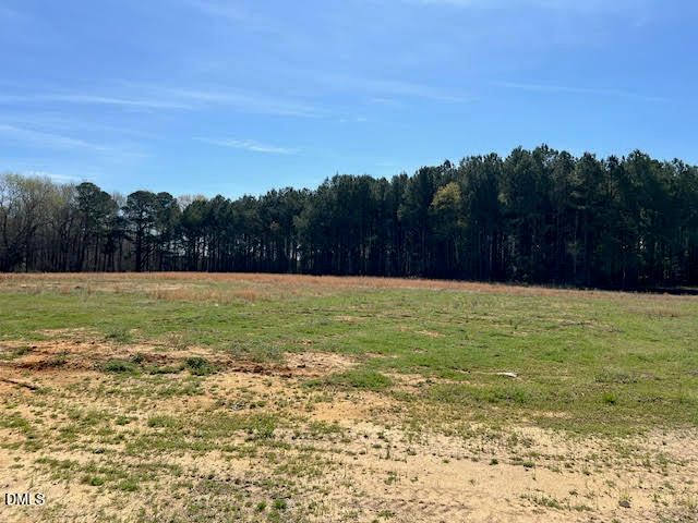 181 Big Pine Road, Clayton, NC 27520