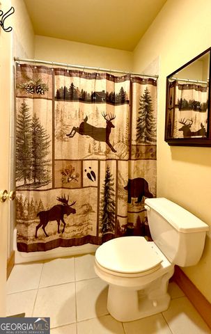 922 Amys Ford Trail, Cleveland, GA 30528