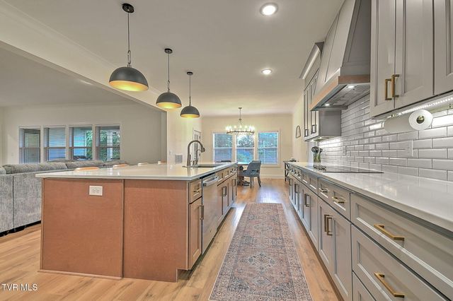 1116 Mountain Vista Pvt Drive, Bristol, TN 37620