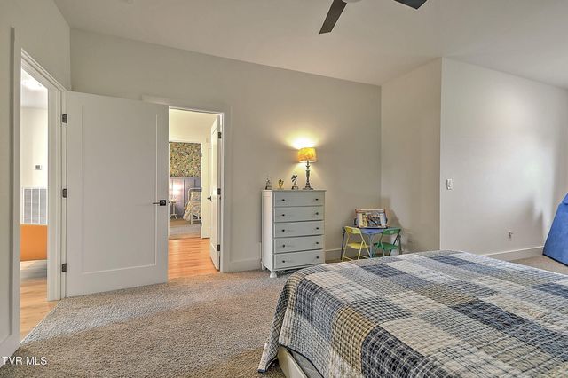 1116 Mountain Vista Pvt Drive, Bristol, TN 37620