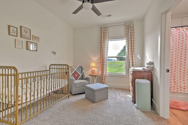 1116 Mountain Vista Pvt Drive, Bristol, TN 37620