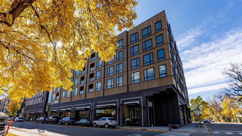 311 N Willson Avenue 101, Bozeman, MT 59715 photo 3