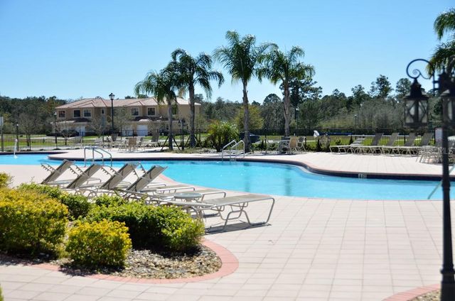 1110 CHERVIL DRIVE, Kissimmee, FL 34759