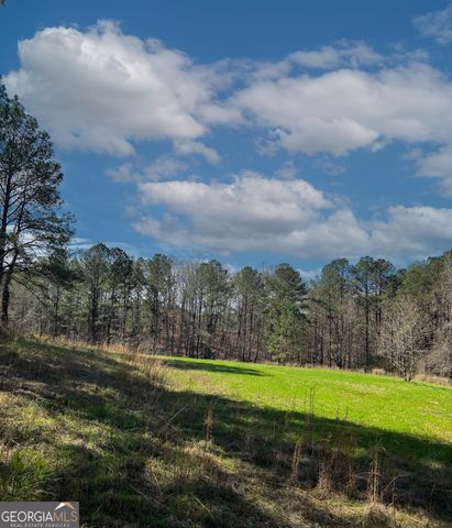 17081 Ga Highway 85 W, Shiloh, GA 31826