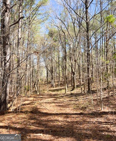 17081 Ga Highway 85 W, Shiloh, GA 31826