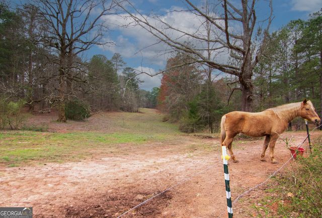 17081 Ga Highway 85 W, Shiloh, GA 31826