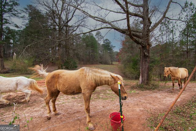 17081 Ga Highway 85 W, Shiloh, GA 31826