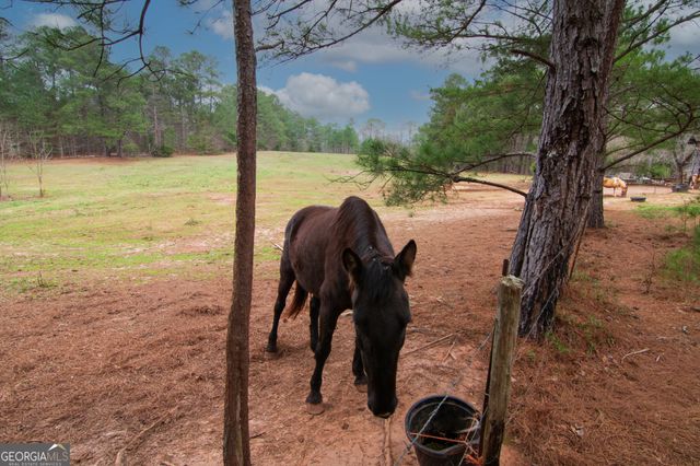 17081 Ga Highway 85 W, Shiloh, GA 31826