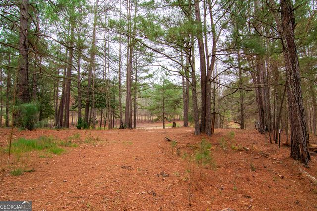 17081 Ga Highway 85 W, Shiloh, GA 31826