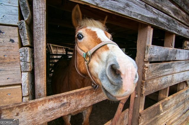 17081 Ga Highway 85 W, Shiloh, GA 31826