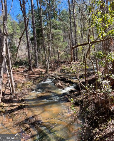 17081 Ga Highway 85 W, Shiloh, GA 31826