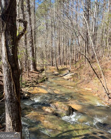 17081 Ga Highway 85 W, Shiloh, GA 31826