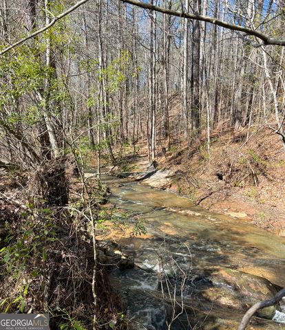 17081 Ga Highway 85 W, Shiloh, GA 31826