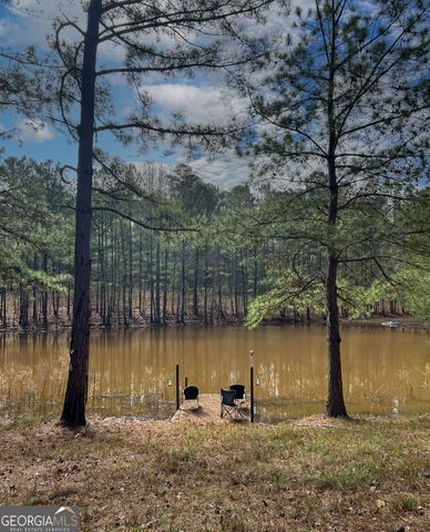 17081 Ga Highway 85 W, Shiloh, GA 31826