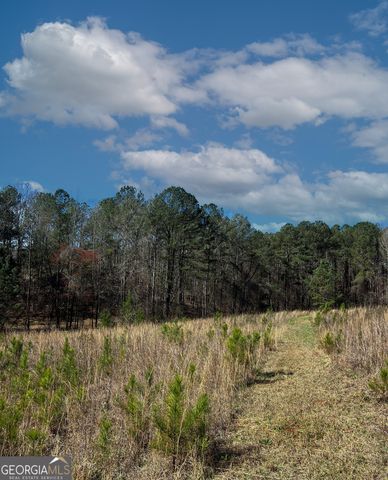 17081 Ga Highway 85 W, Shiloh, GA 31826