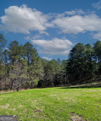 17081 Ga Highway 85 W, Shiloh, GA 31826