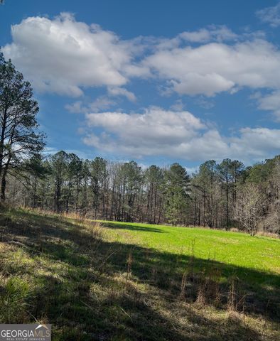 17081 Ga Highway 85 W, Shiloh, GA 31826