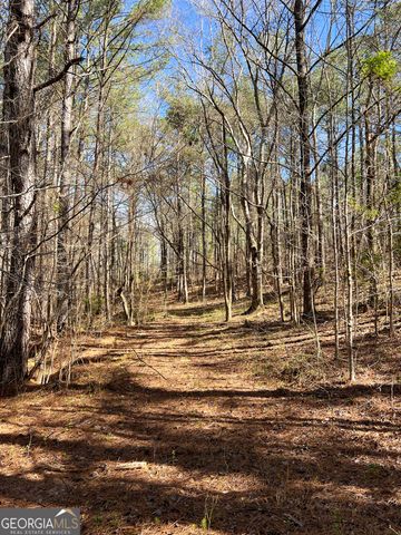 17081 Ga Highway 85 W, Shiloh, GA 31826