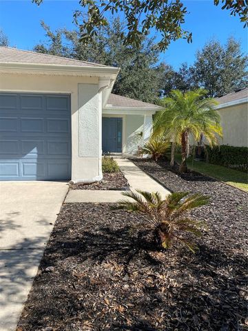 11729 CREST CREEK DRIVE, Riverview, FL 33569
