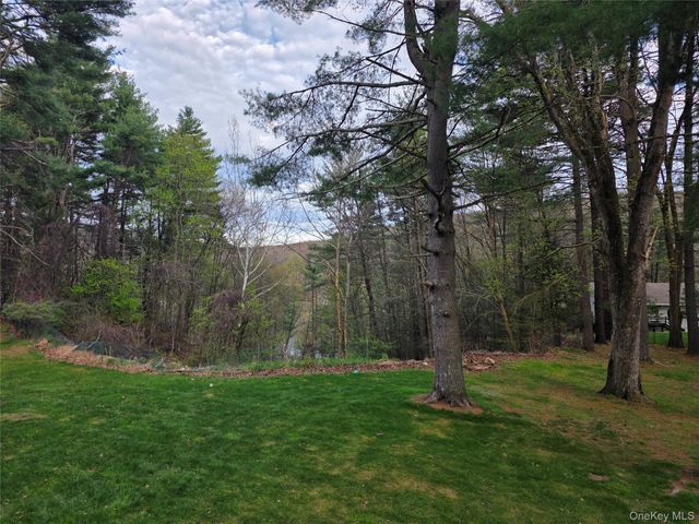 14 Andrew Paye Road, Pond Eddy, NY 12770
