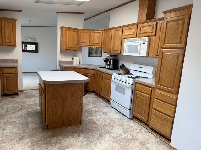 221 Begonia Drive, Matteson, IL 60443