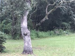 SW 49TH CT, Webster, FL 33597