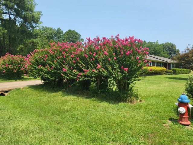 42 thompson, Clarksville, AR 72830