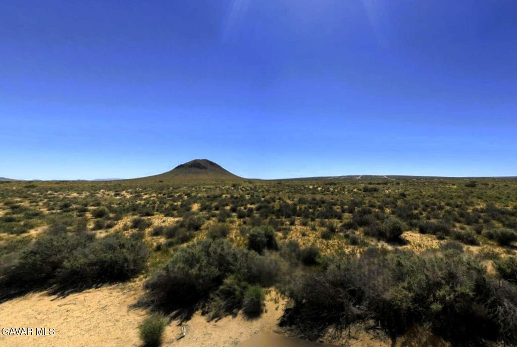 9982 Grant Avenue, California City, CA 93505