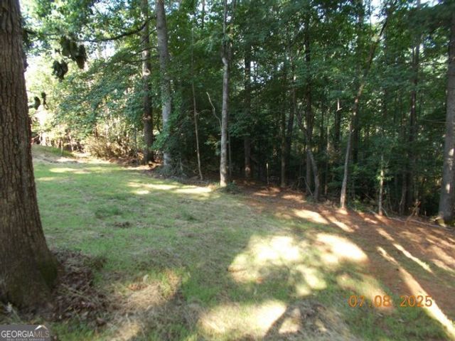 487 Oak View Trail, Cleveland, GA 30528