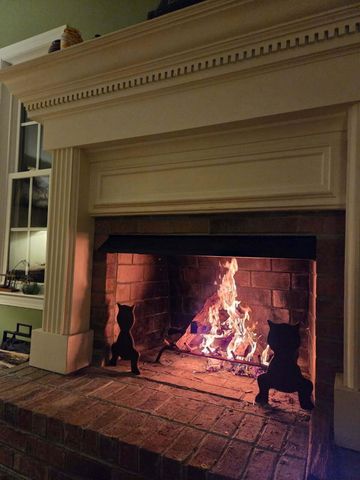 8460 Chisolm Plantation Road, Edisto Island, SC 29438