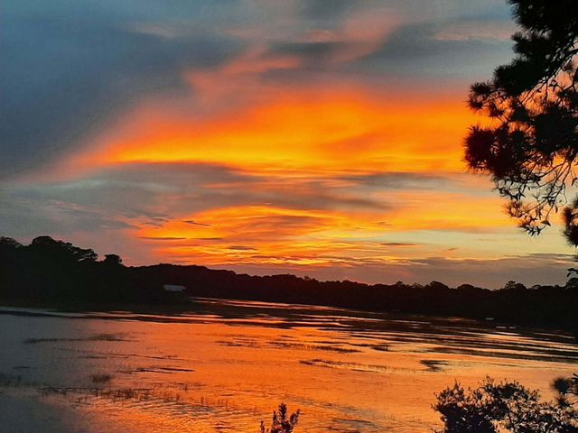 8460 Chisolm Plantation Road, Edisto Island, SC 29438