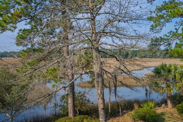 8460 Chisolm Plantation Road, Edisto Island, SC 29438