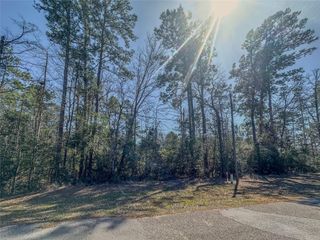 TBD N Canyon Drive, Onalaska, TX 77360