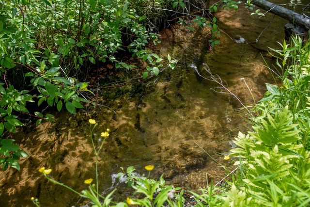 E Fouch Road, Traverse City, MI 49684