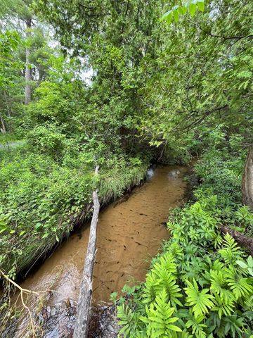 E Fouch Road, Traverse City, MI 49684