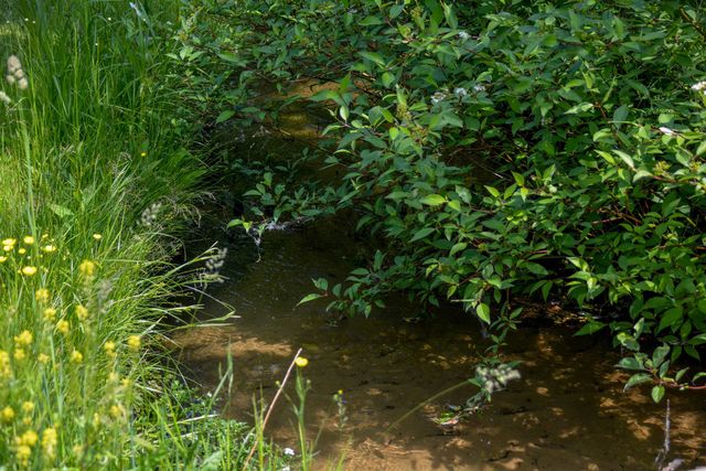 E Fouch Road, Traverse City, MI 49684