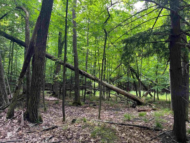 E Fouch Road, Traverse City, MI 49684