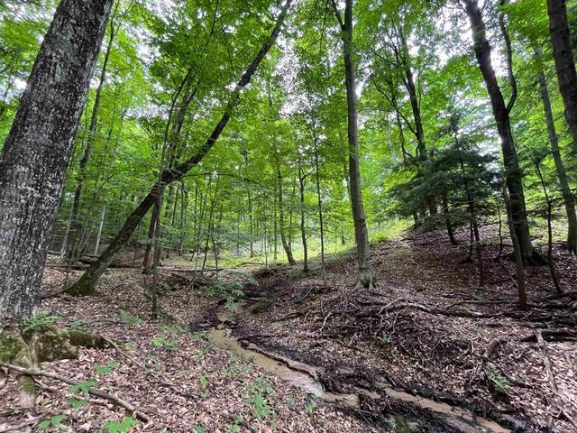 E Fouch Road, Traverse City, MI 49684