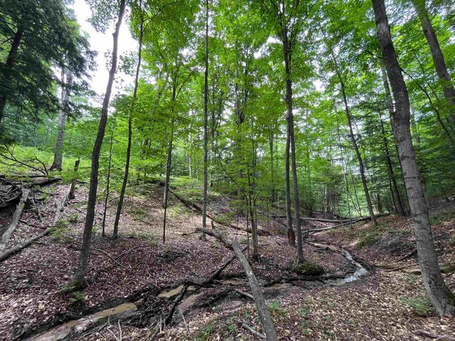 E Fouch Road, Traverse City, MI 49684