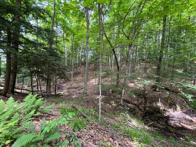 E Fouch Road, Traverse City, MI 49684