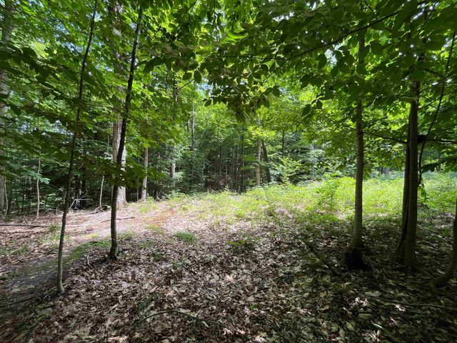 E Fouch Road, Traverse City, MI 49684