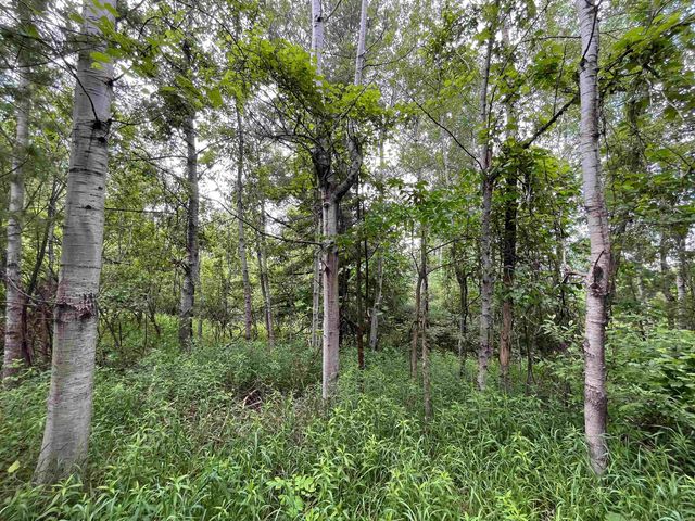 E Fouch Road, Traverse City, MI 49684